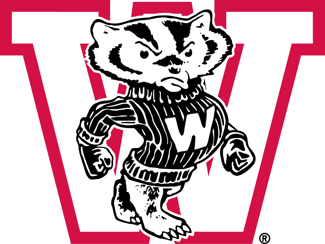 Wisconsin Badgers 1948-1956 Primary Logo iron on transfers for T-shirts